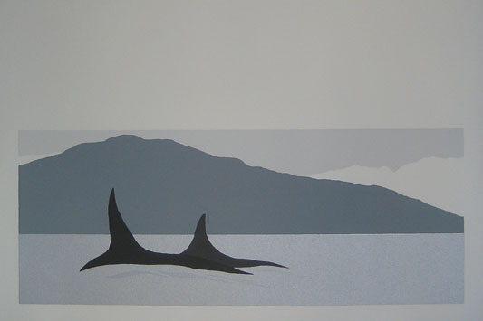 orcas in english bay