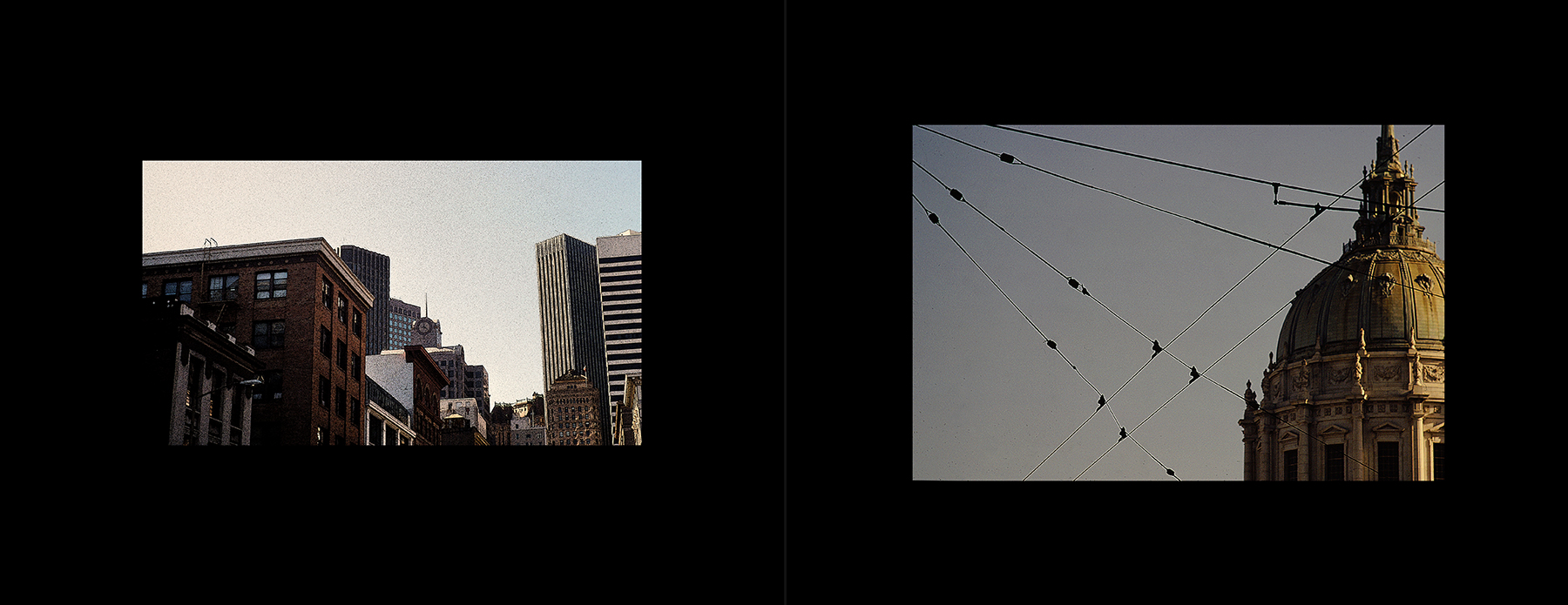 photos from the Basement Collection