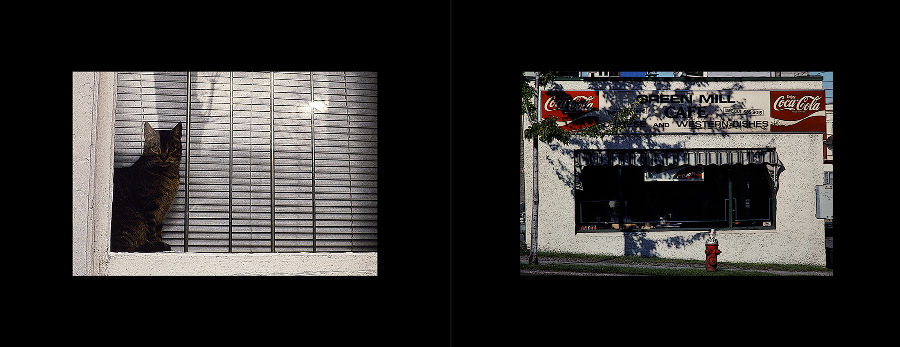 photos from the Basement Collection