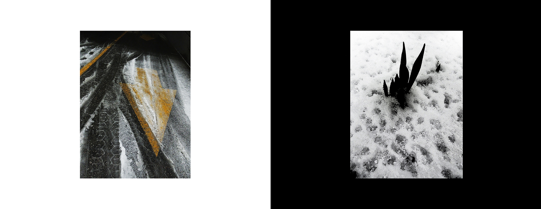 photos of the Vancouver