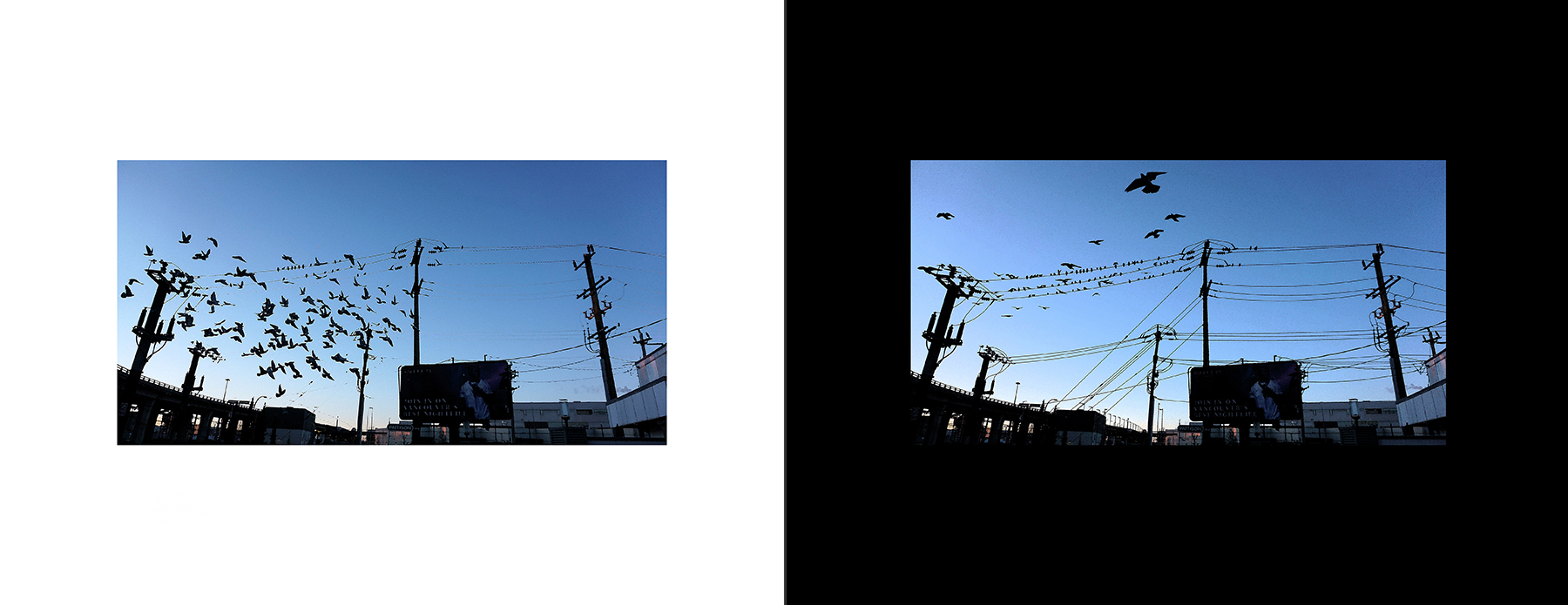 photos of the Vancouver