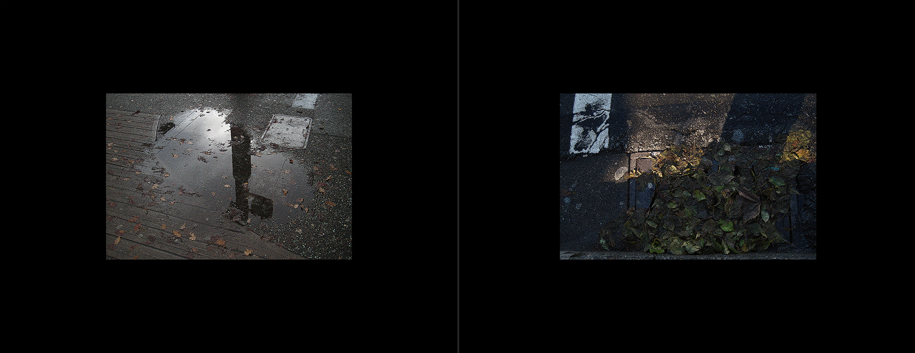 photos of the Vancouver 2012