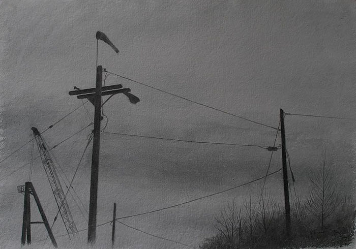 Telephone poles and winter trees