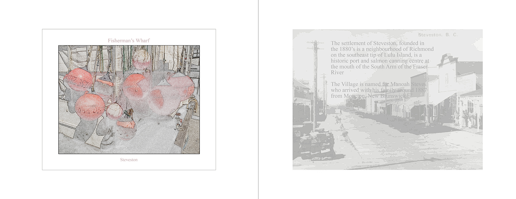 the portfolio collection