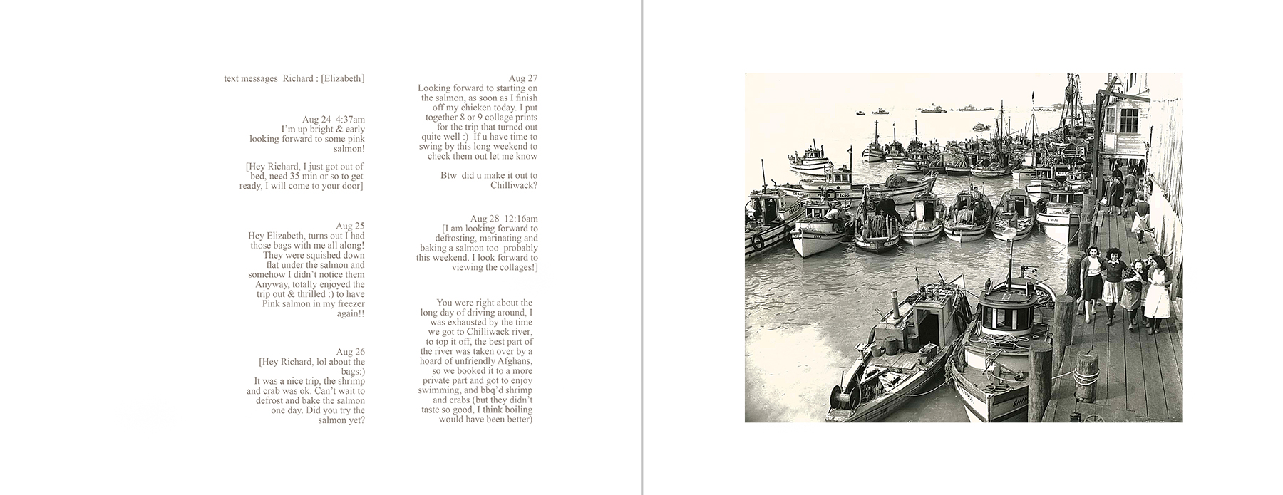 the portfolio collection