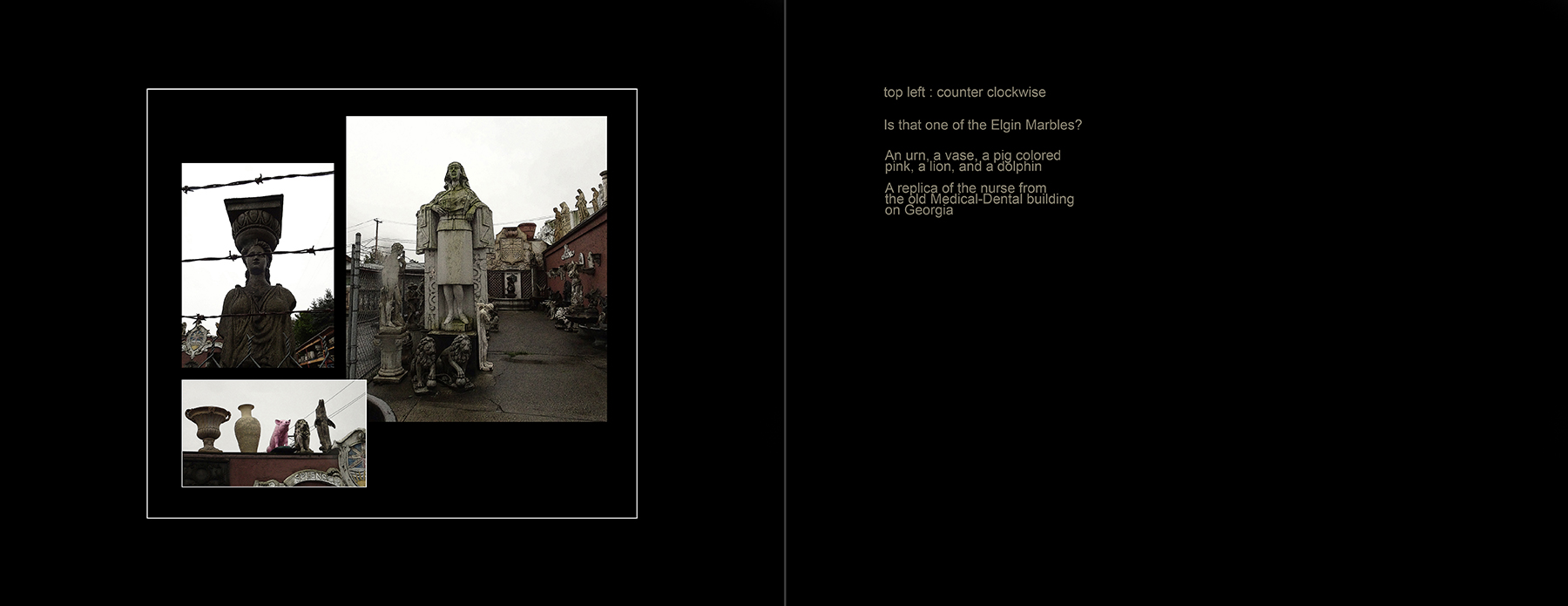 the portfolio collection