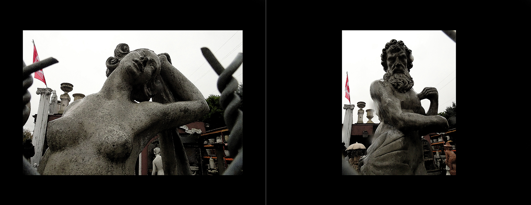 the portfolio collection