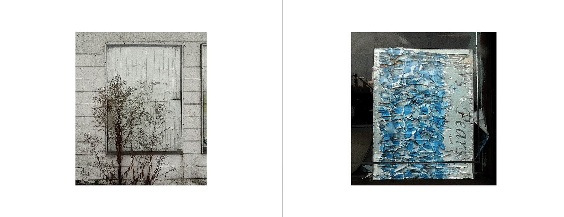 the portfolio collection