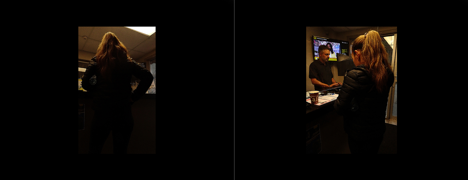 the portfolio collection