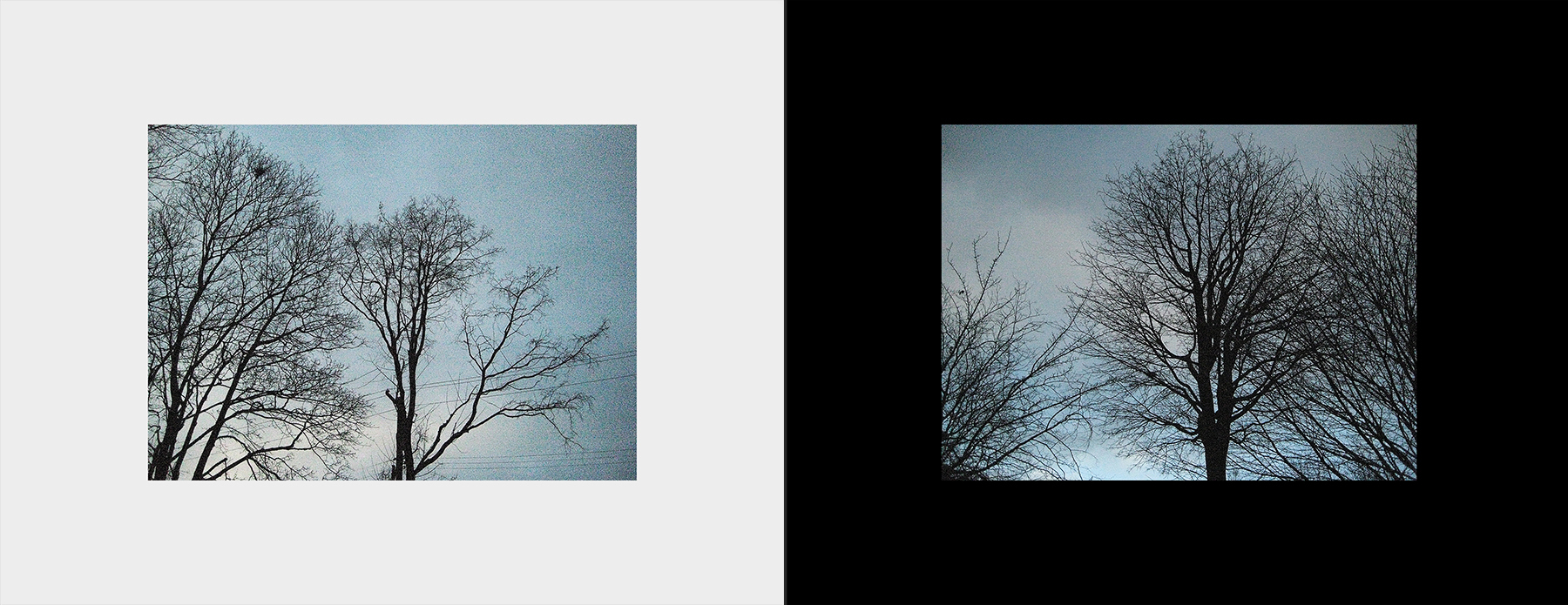 photos of the Vancouver 2012