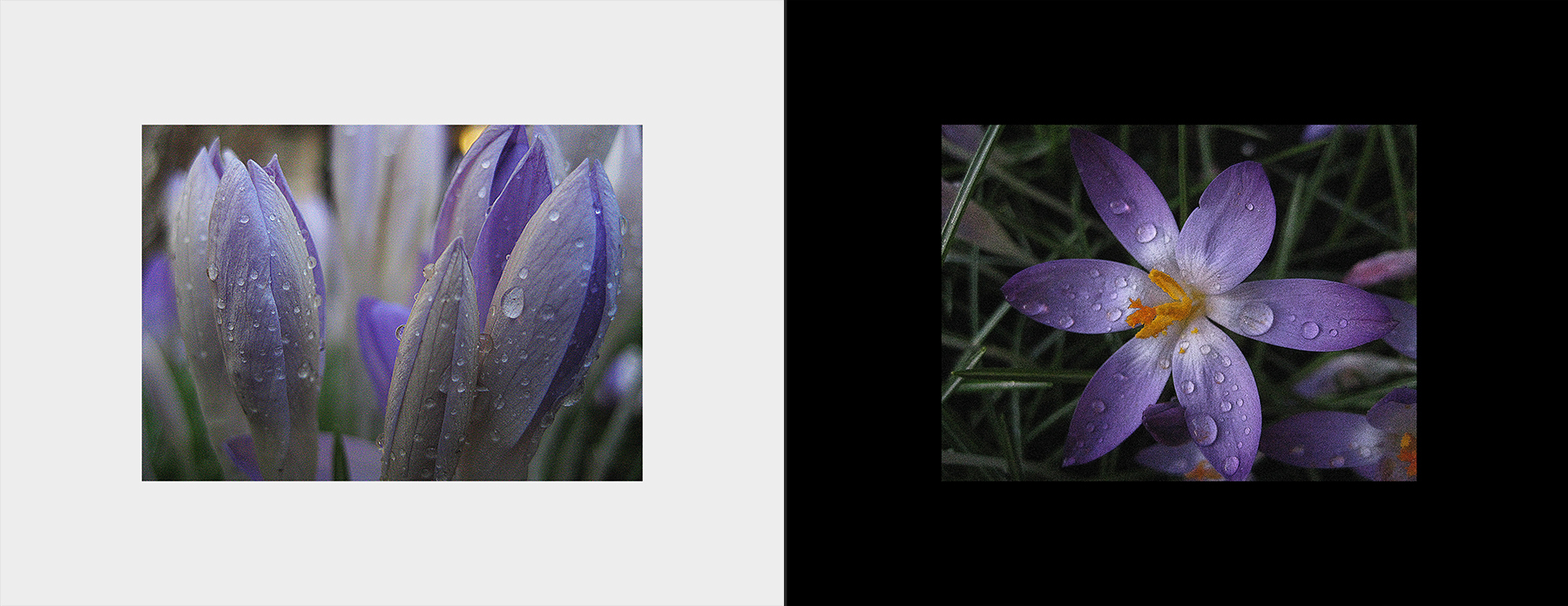 photos of the Vancouver 2012