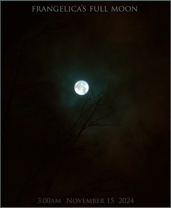 jamaica & bob marley