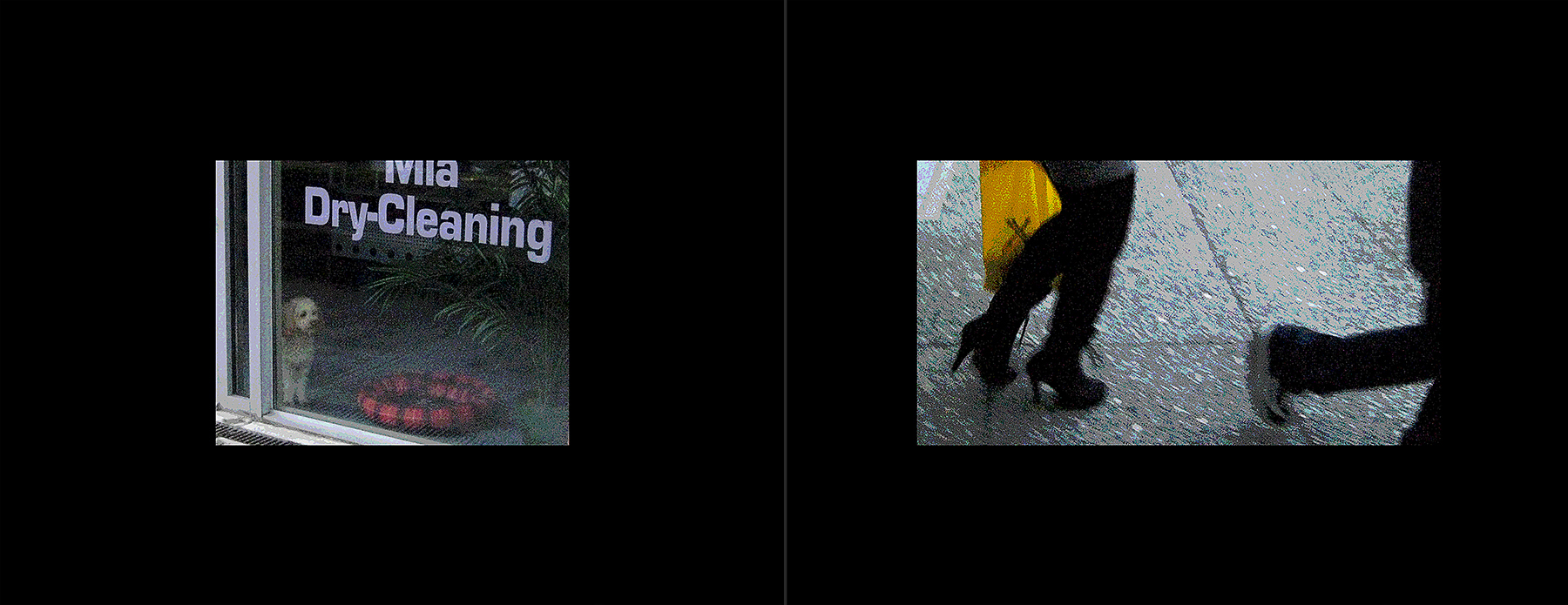 photos of the Vancouver 2012