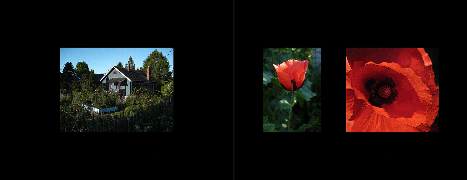 photos of the Vancouver 2012