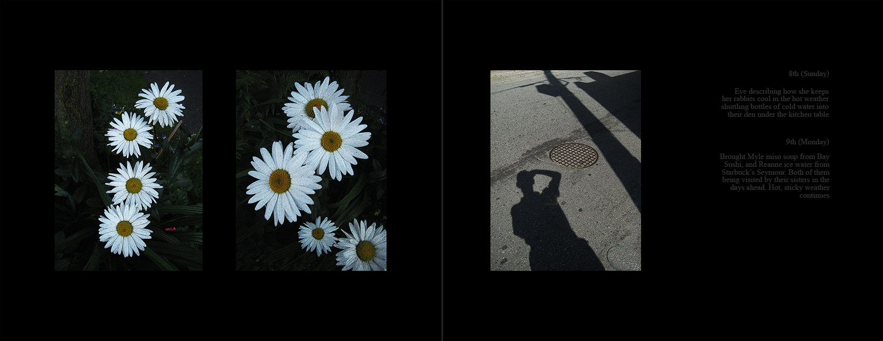 photos of the Vancouver 2012