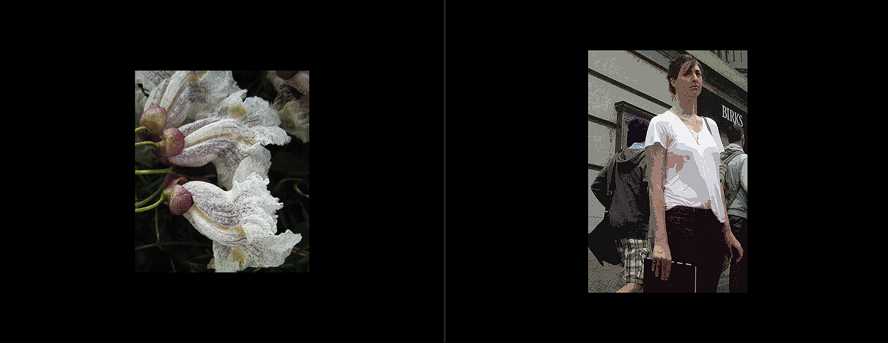 photos of the Vancouver 2012