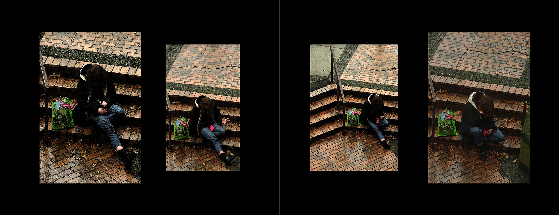 the portfolio collection