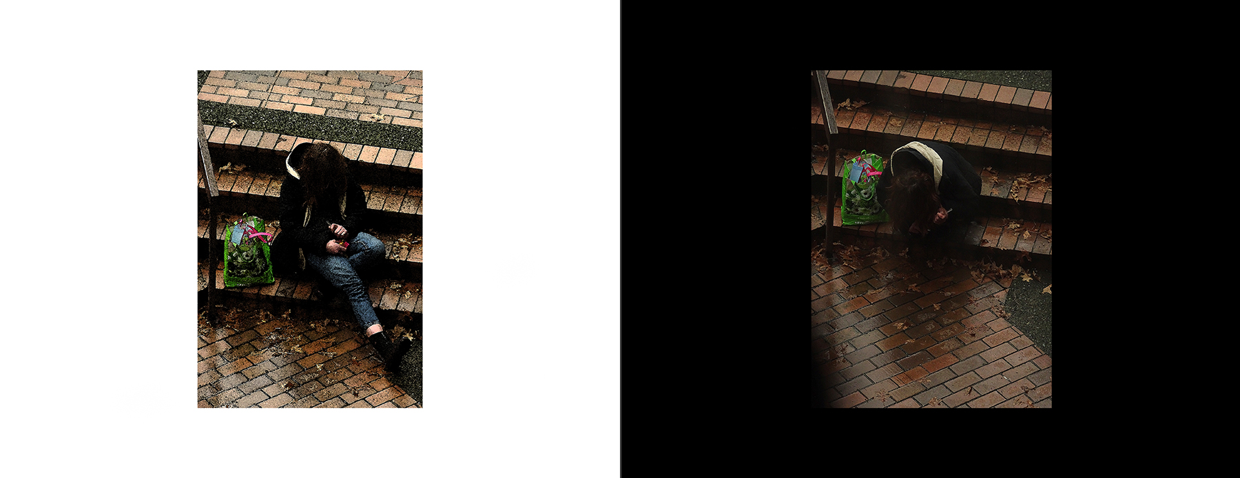 the portfolio collection