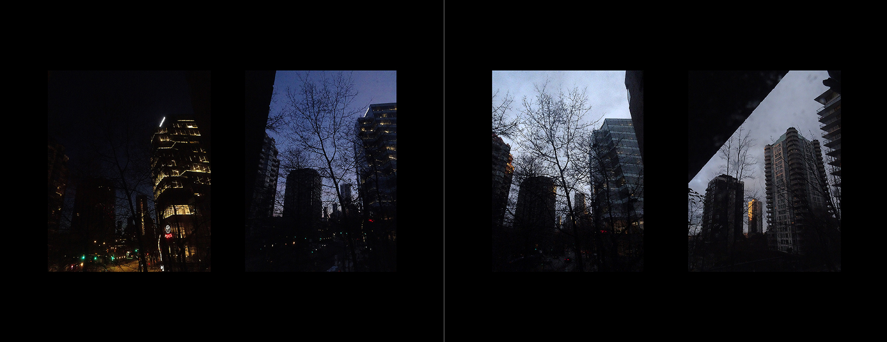 the portfolio collection