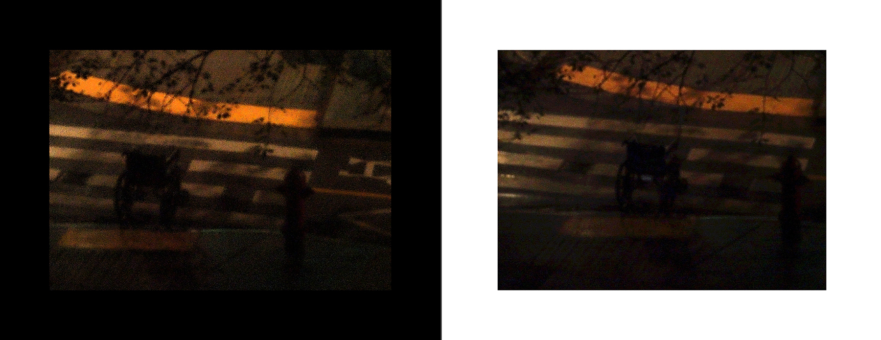 the portfolio collection