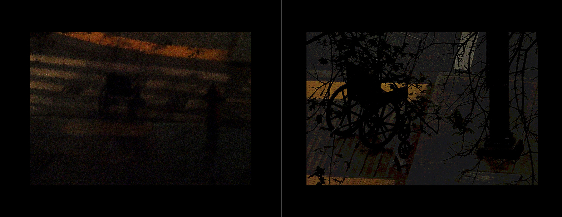 the portfolio collection