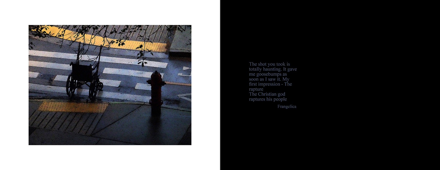 the portfolio collection