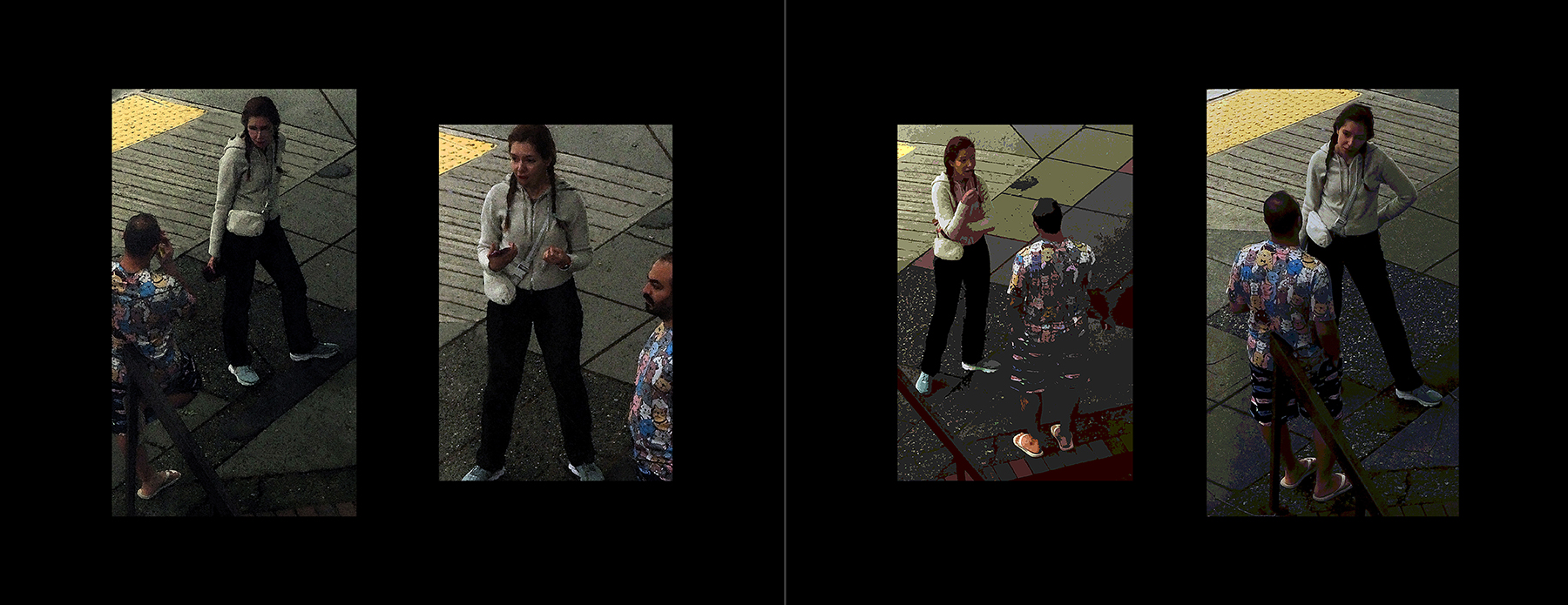 the portfolio collection