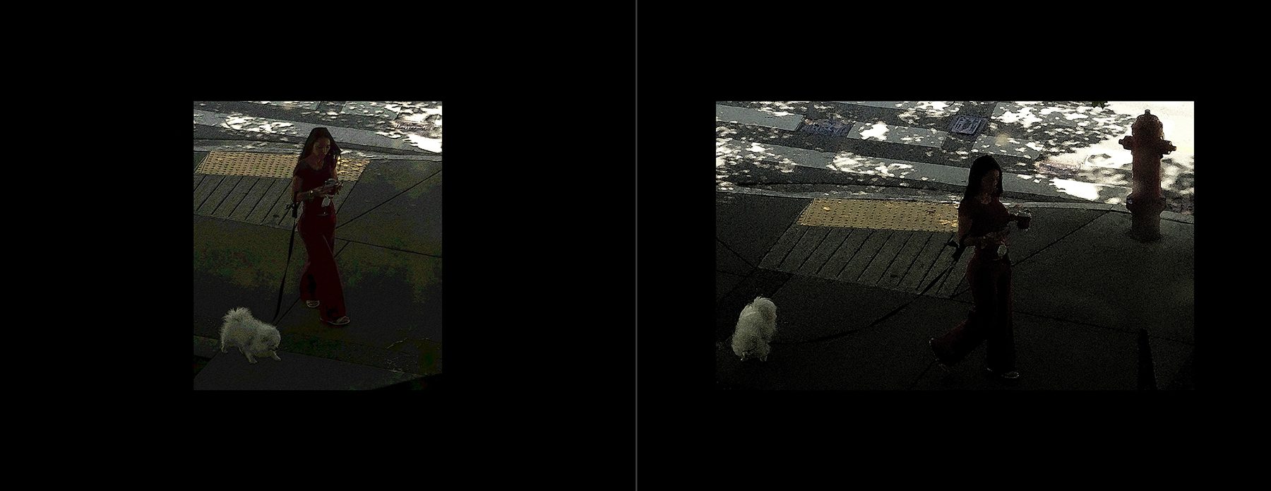 the portfolio collection