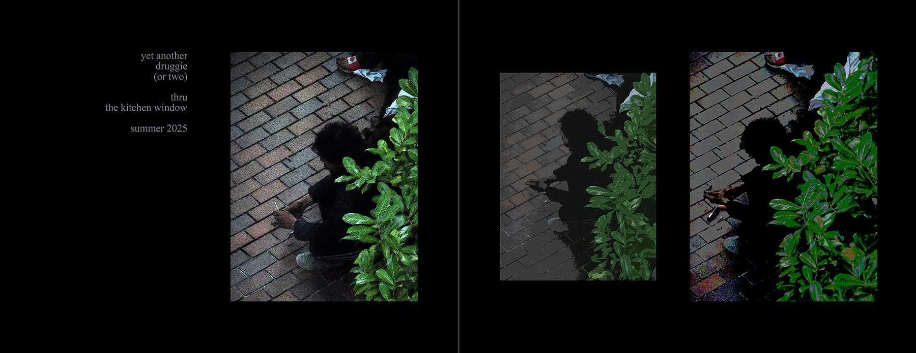 the portfolio collection