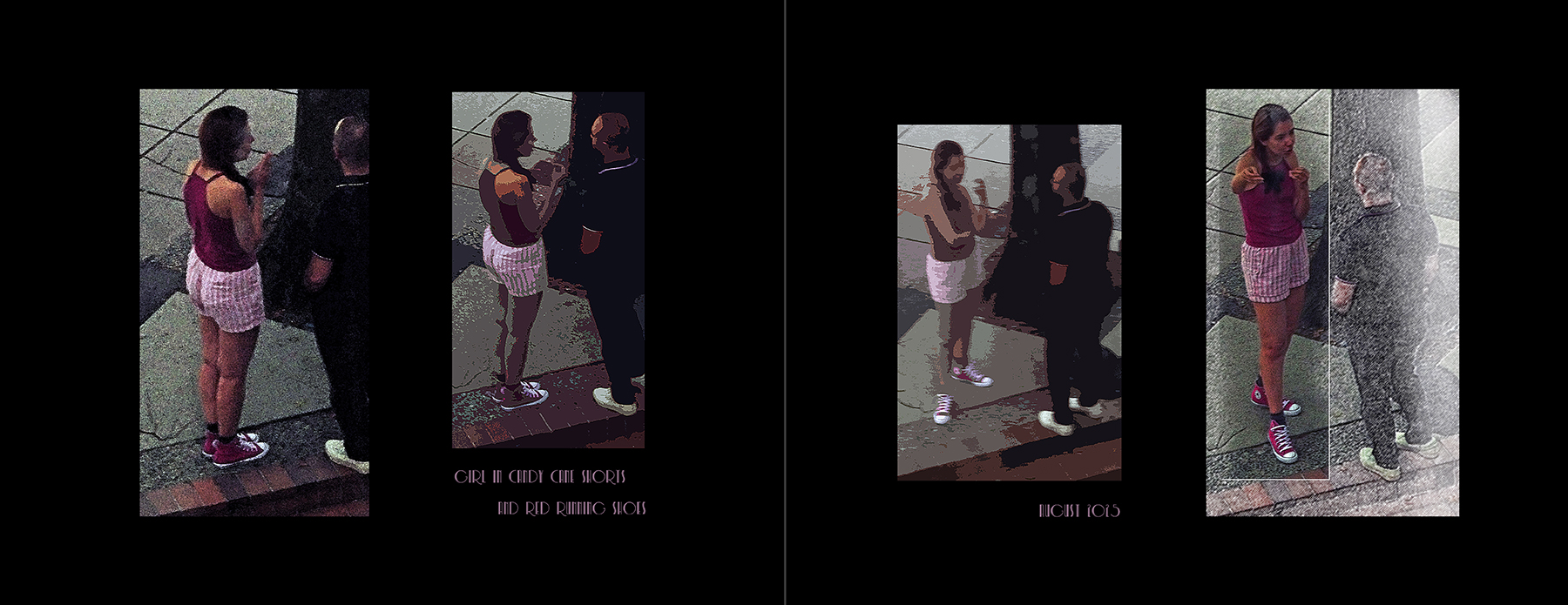 the portfolio collection