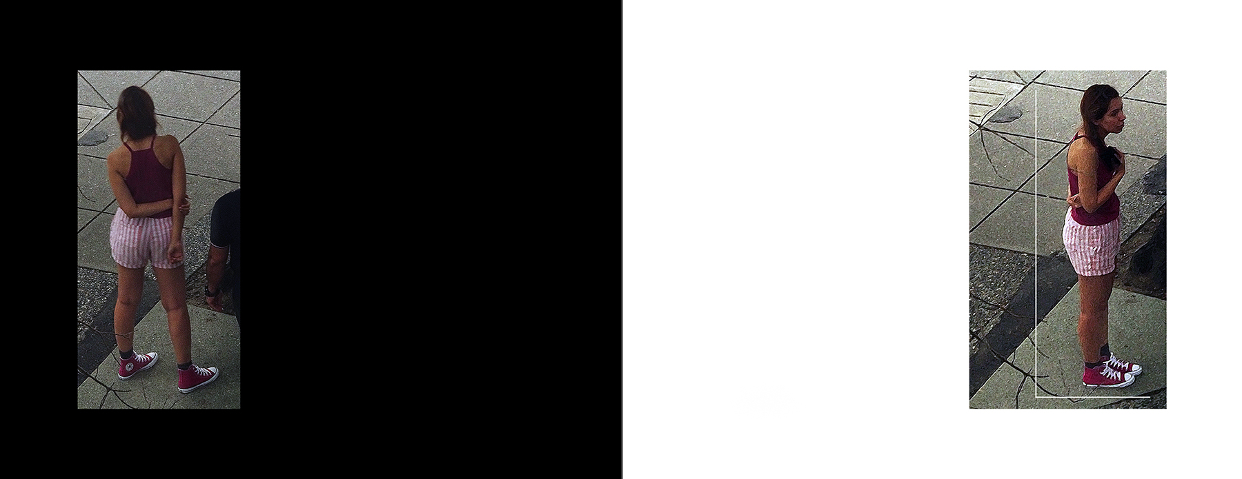 the portfolio collection