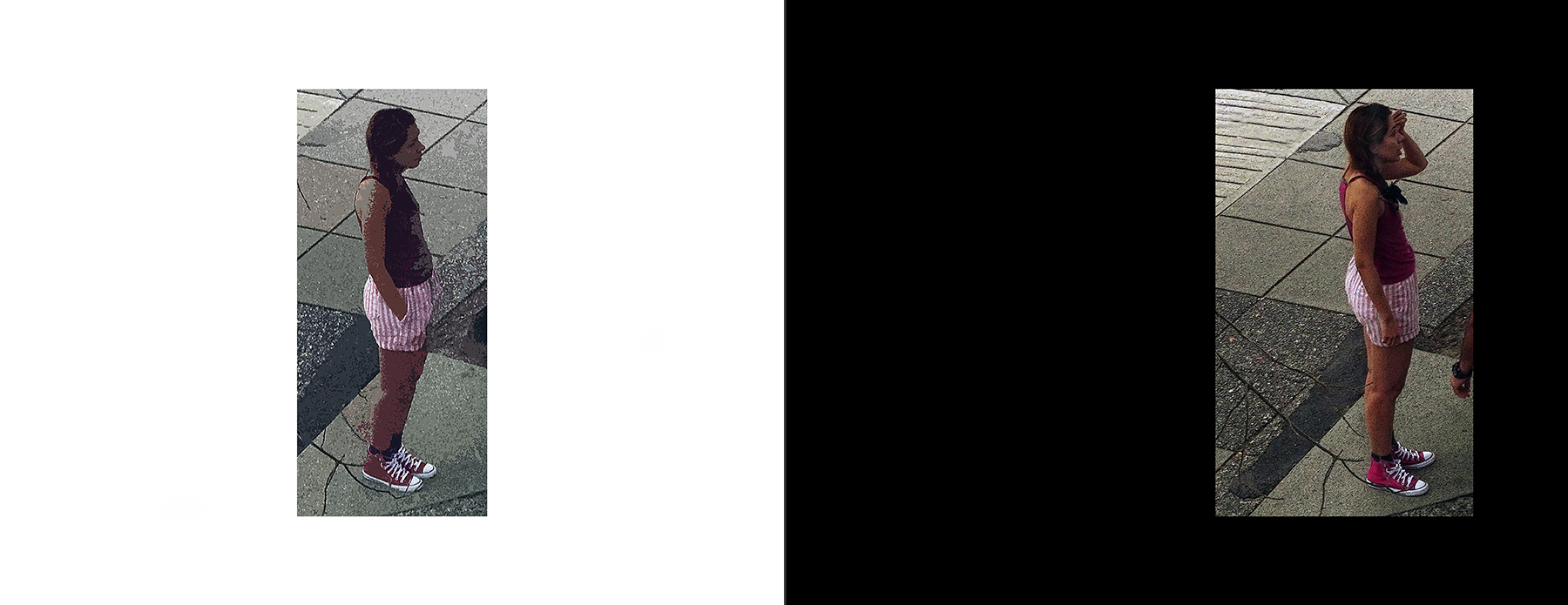 the portfolio collection