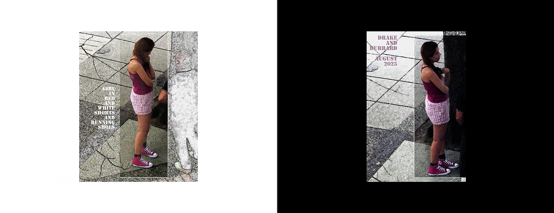 the portfolio collection