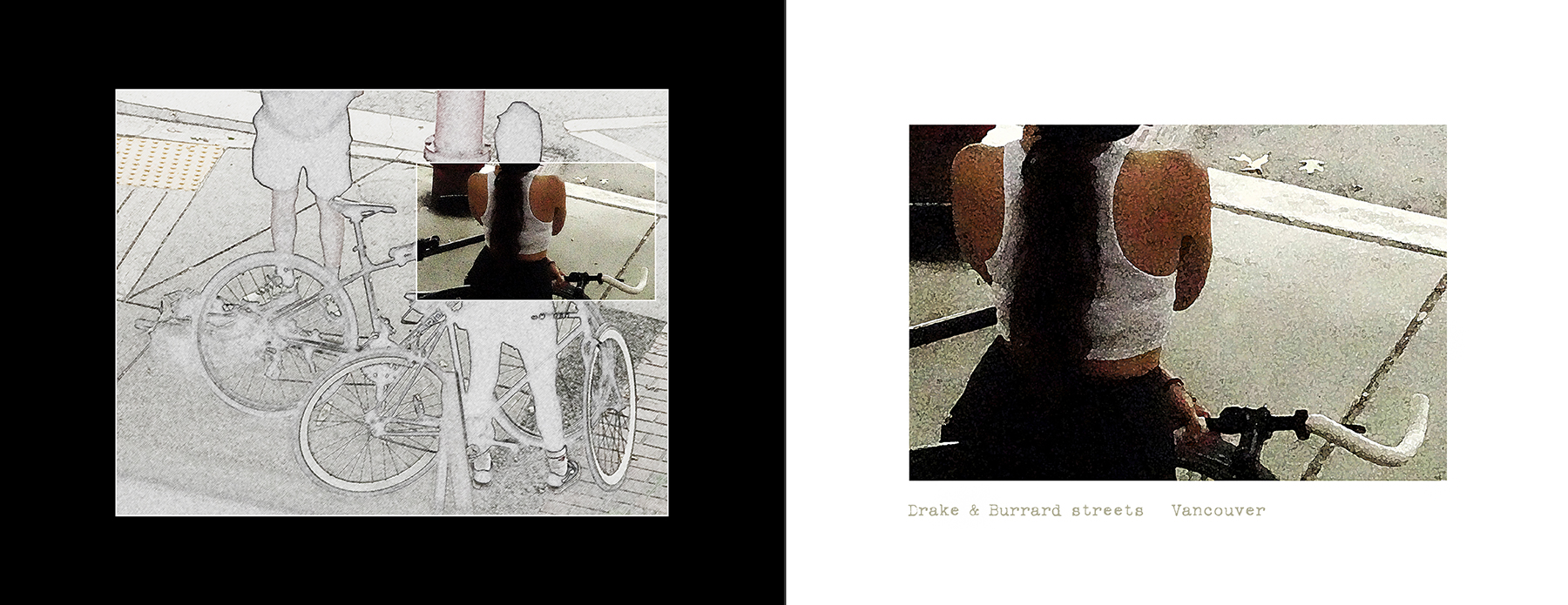 the portfolio collection