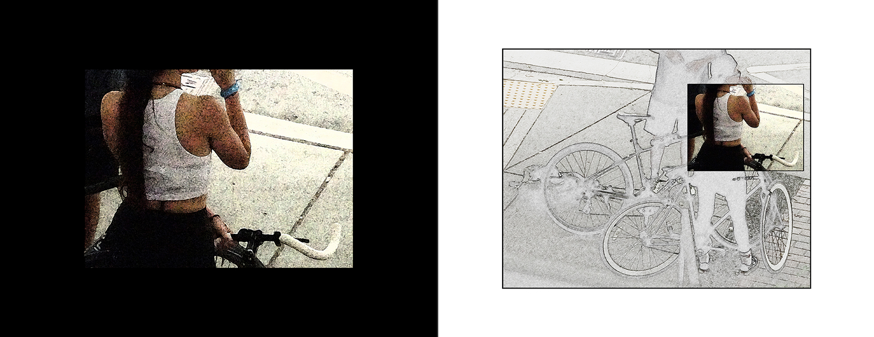 the portfolio collection