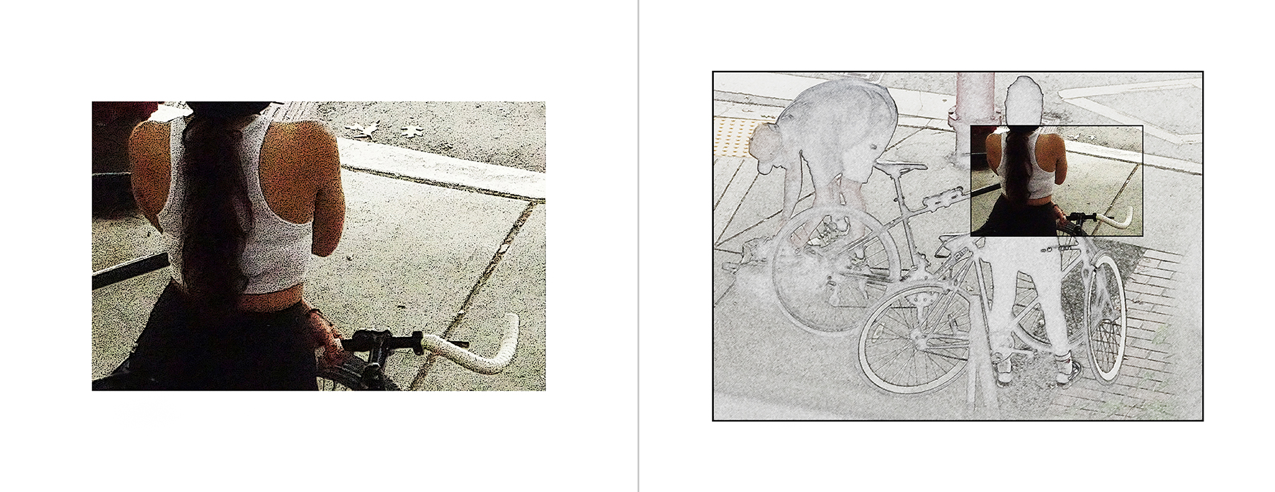 the portfolio collection