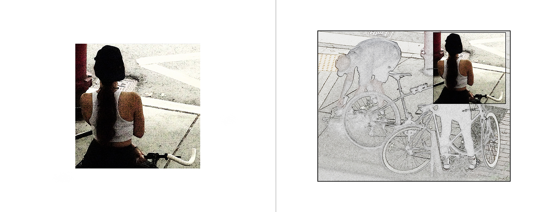 the portfolio collection