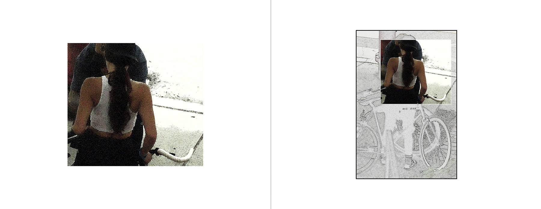 the portfolio collection