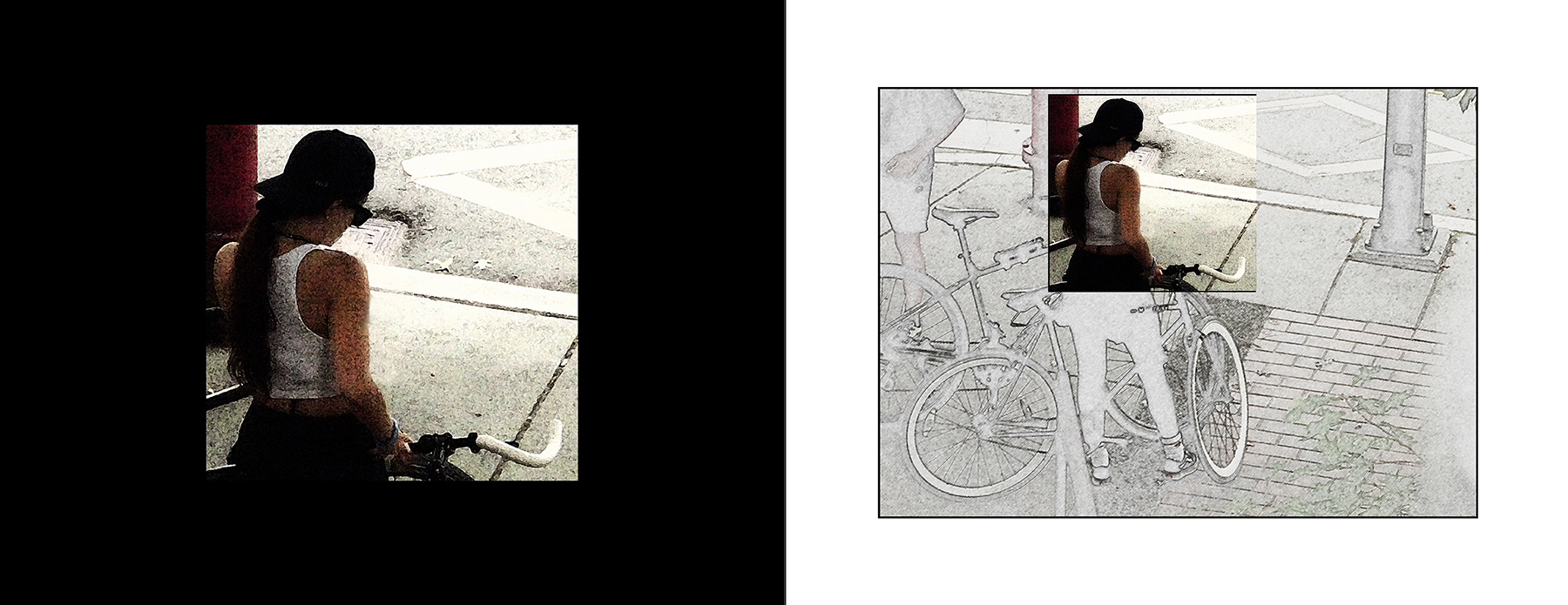 the portfolio collection