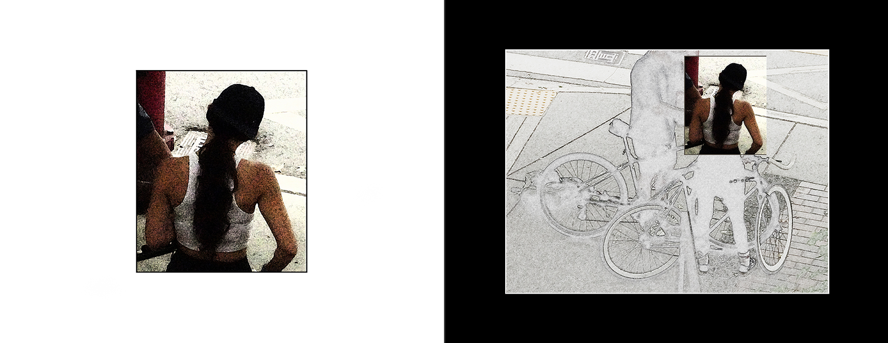 the portfolio collection