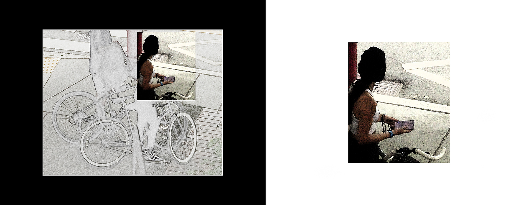 the portfolio collection