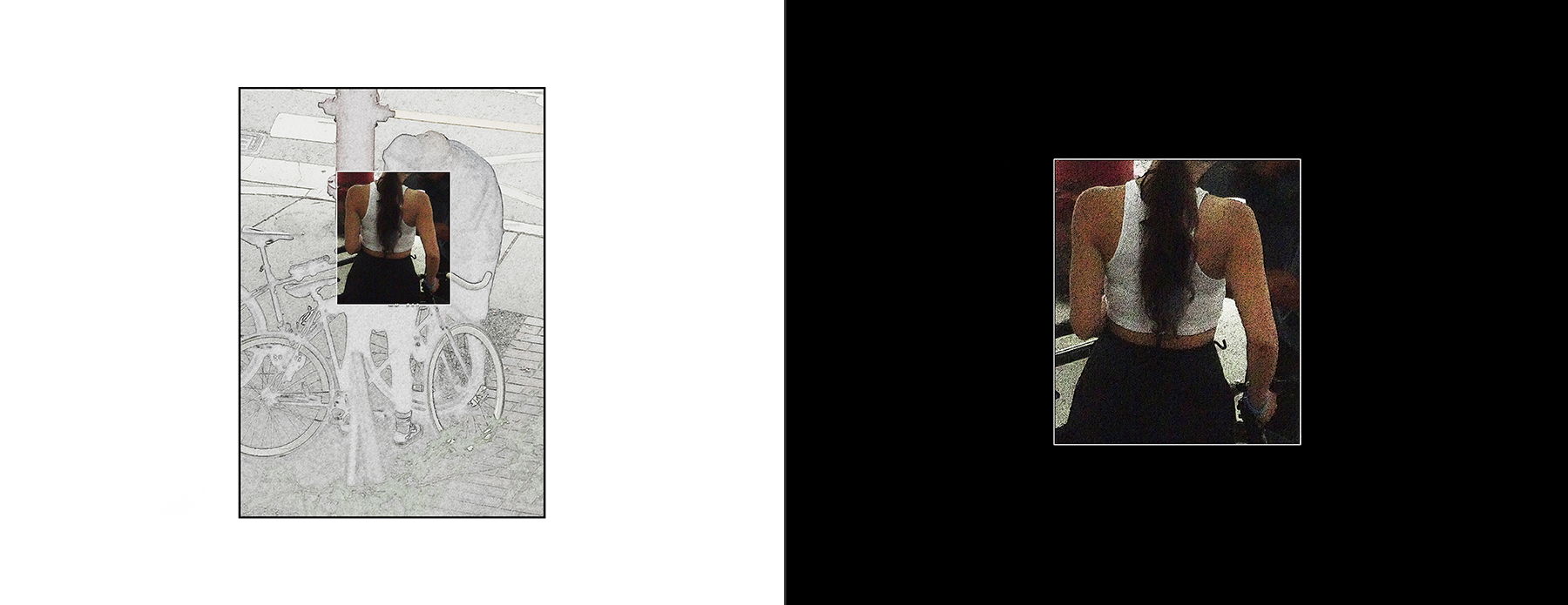 the portfolio collection