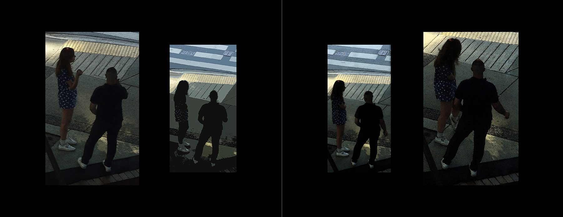 the portfolio collection