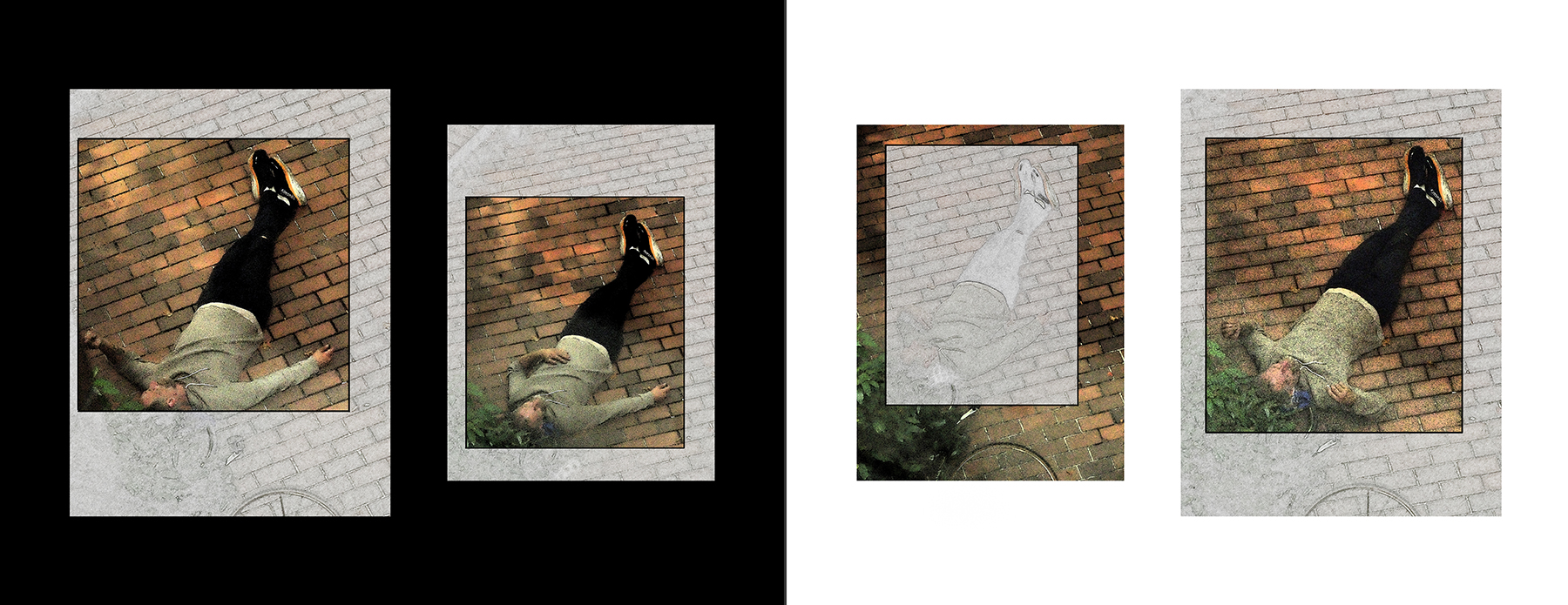 the portfolio collection