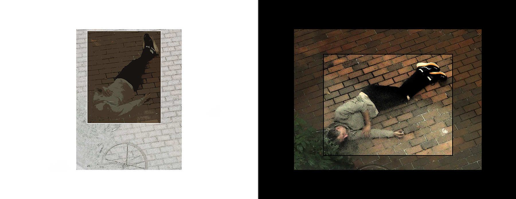 the portfolio collection