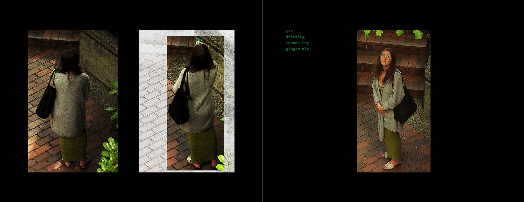 the portfolio collection