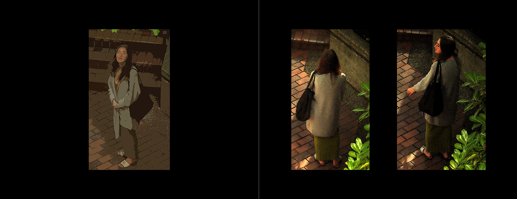 the portfolio collection