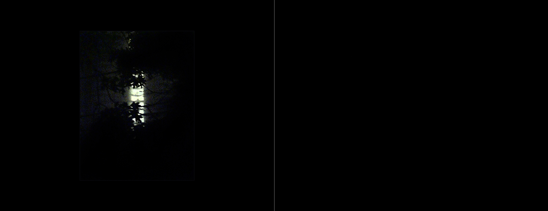 the portfolio collection