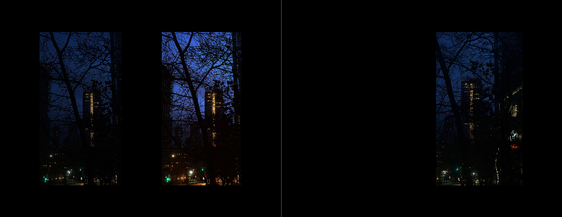 the portfolio collection