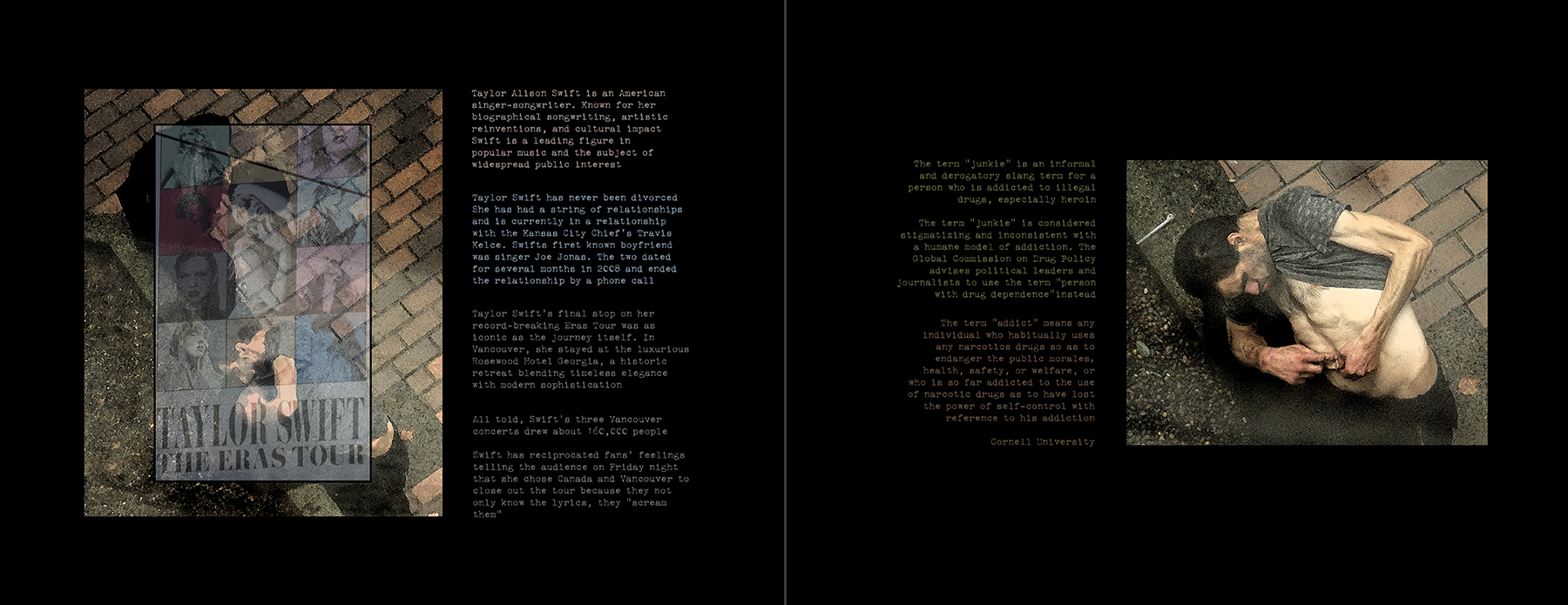 the portfolio collection